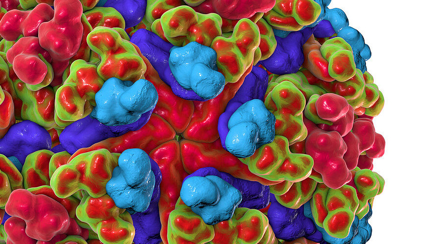 Chikungunya