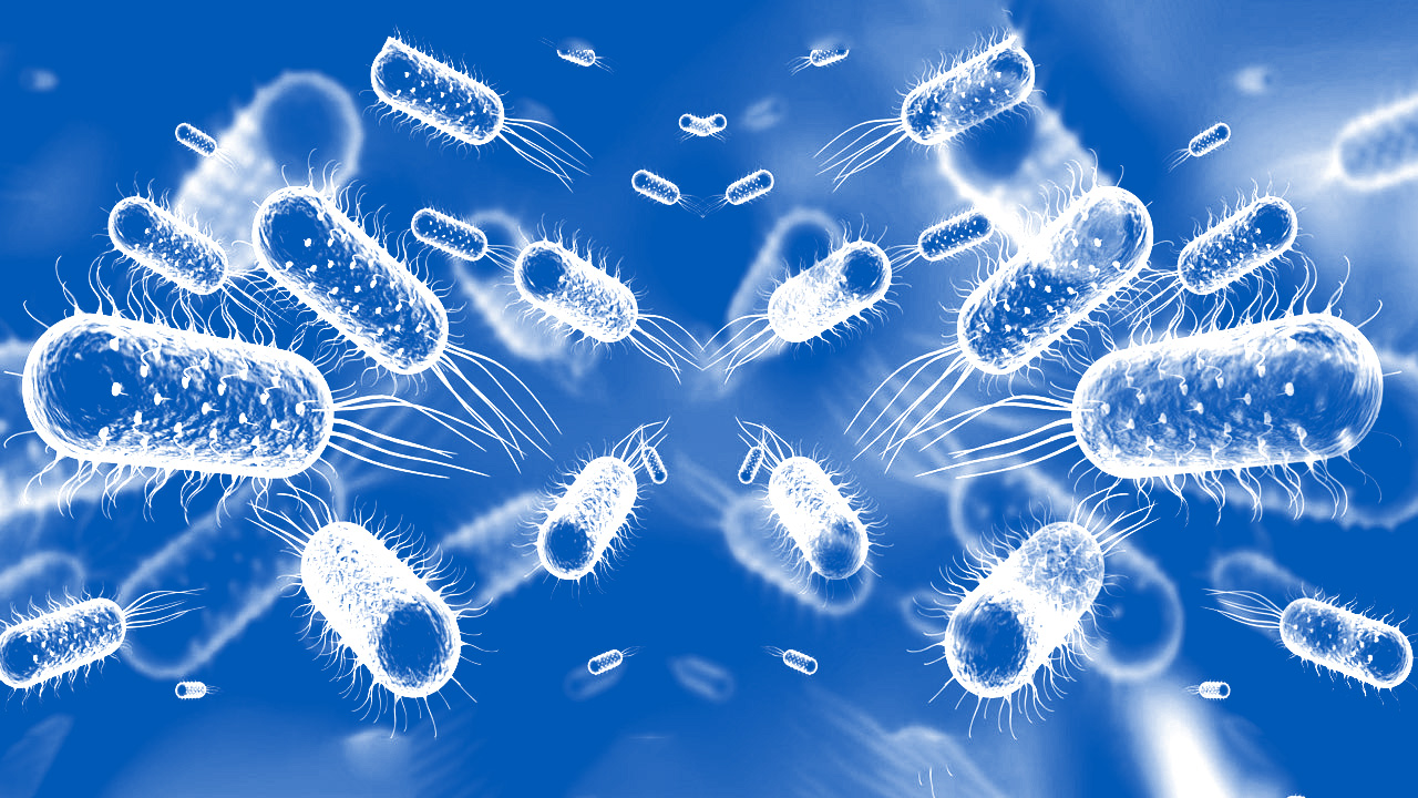 CDC