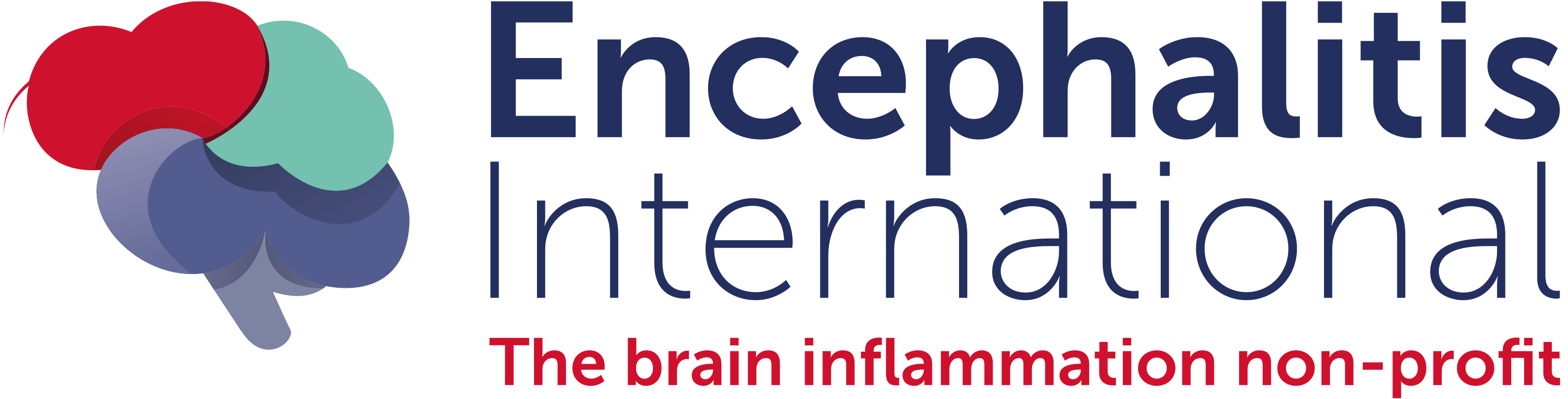 Encephalitis